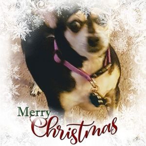 Meet your Posher, Phyllis